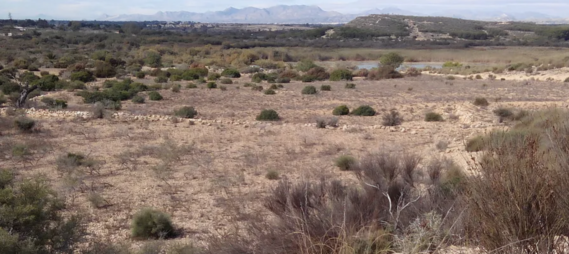 Desertificación