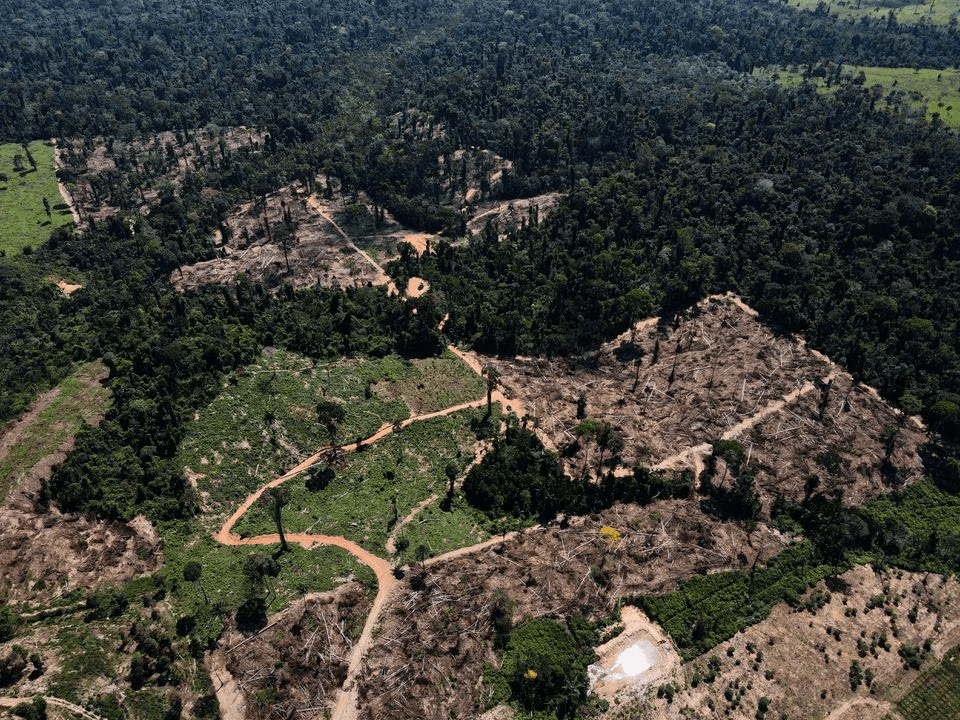 Amazonas Deforestación Mayo