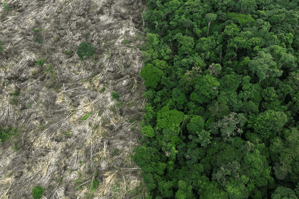 Deforestación Amazonia