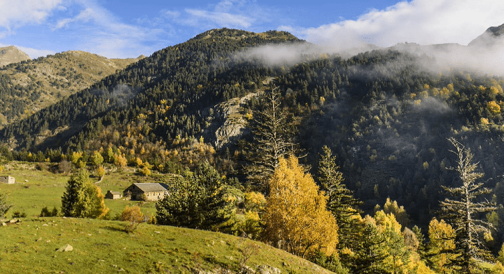 Adaptación Cambio Climático Pirineos